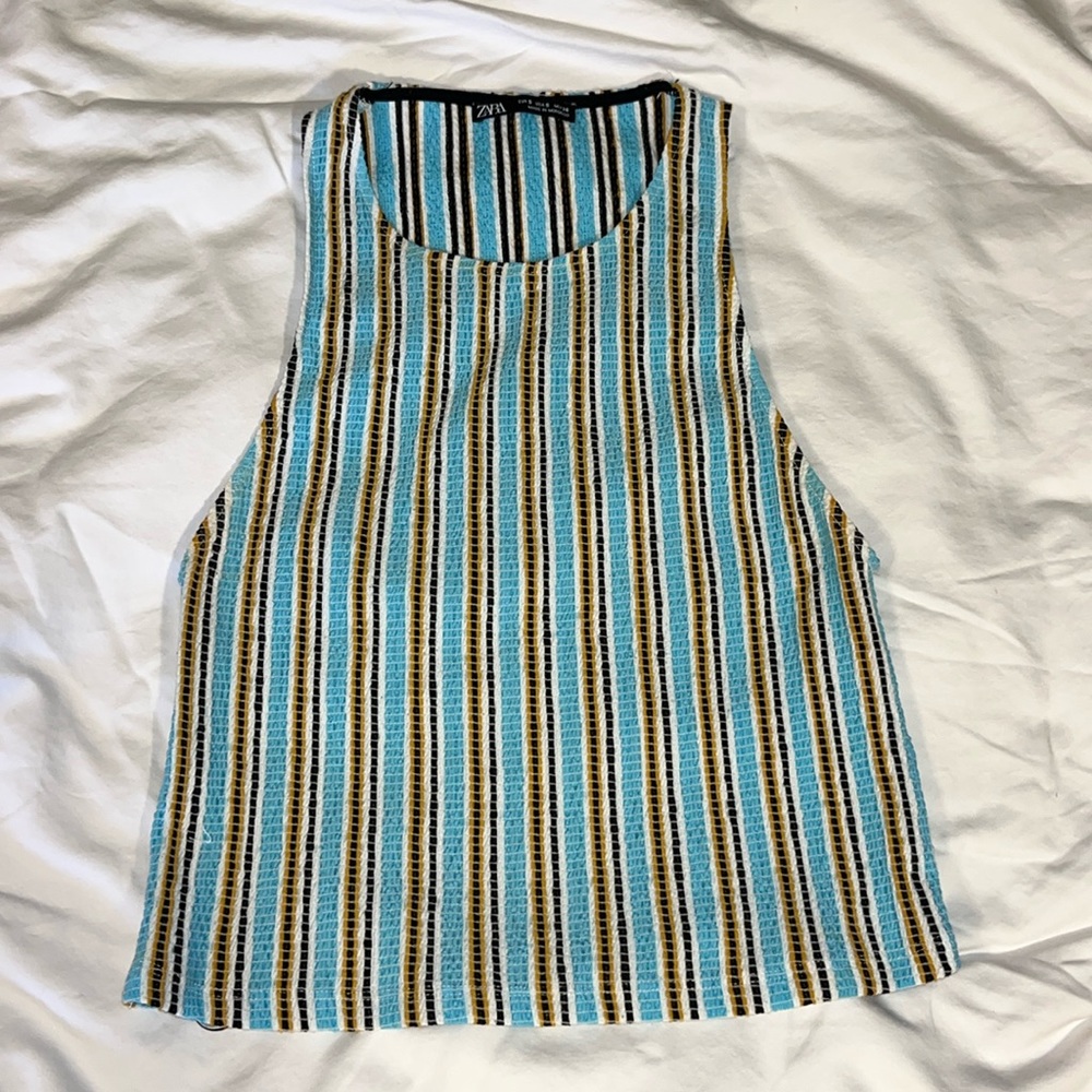 Zara crop top